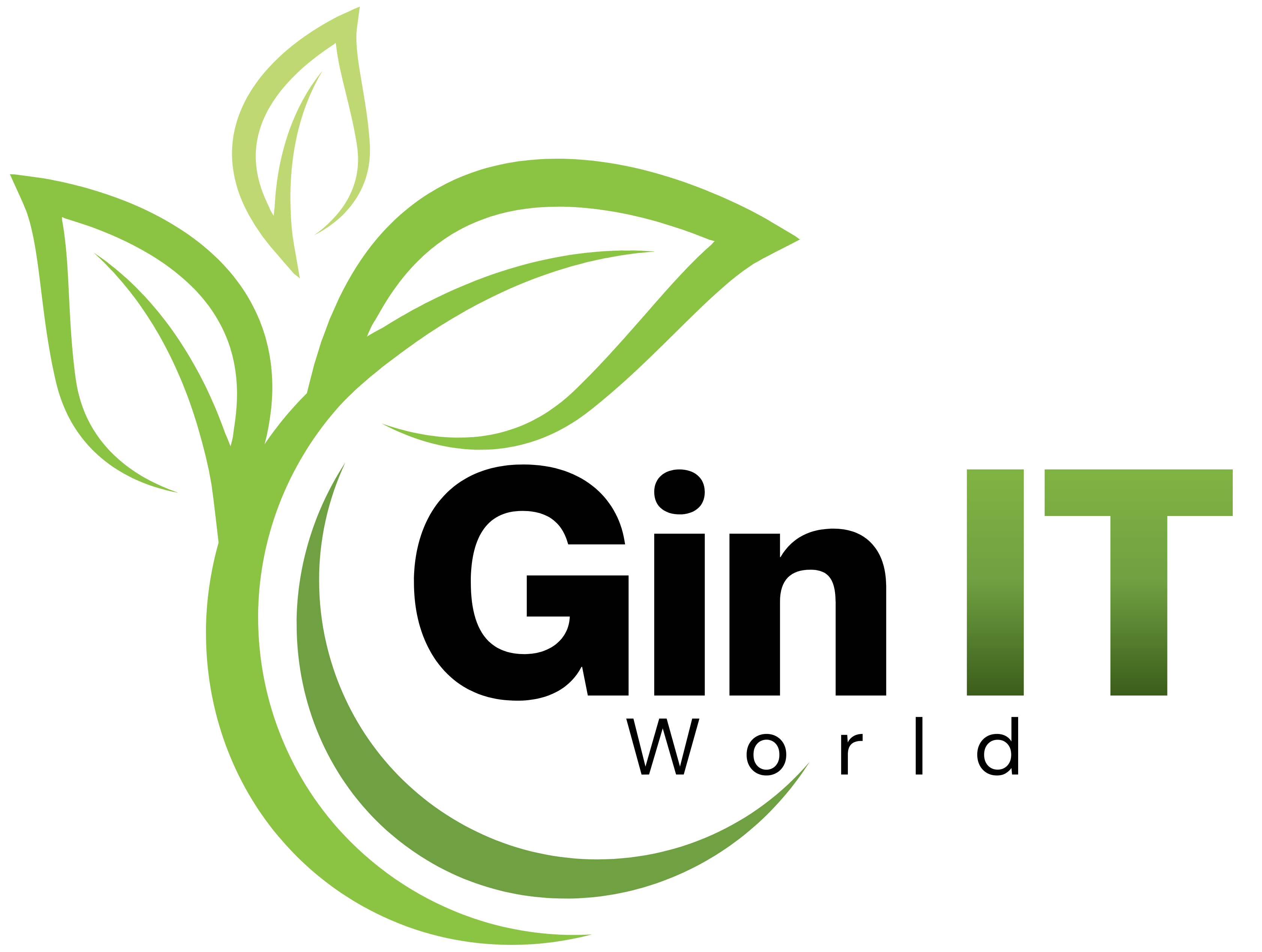 Gin IT World
